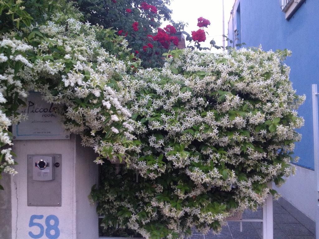 Il Piccolo Rooms Pontedera Exterior photo